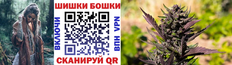 Канабис OG Kush  МЕГА как зайти  Карачев  купить  цена 